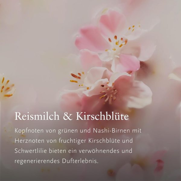 RITUALS Parfüm Sakura Auto Lufterfrischer – Duft mit Kirschblüten und Reismilch – Bild 4