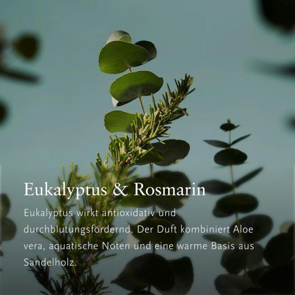 RITUALS Parfüm Hammam Lufterfrischer – Duft mit Eukalyptus und Rosmarin – Bild 3