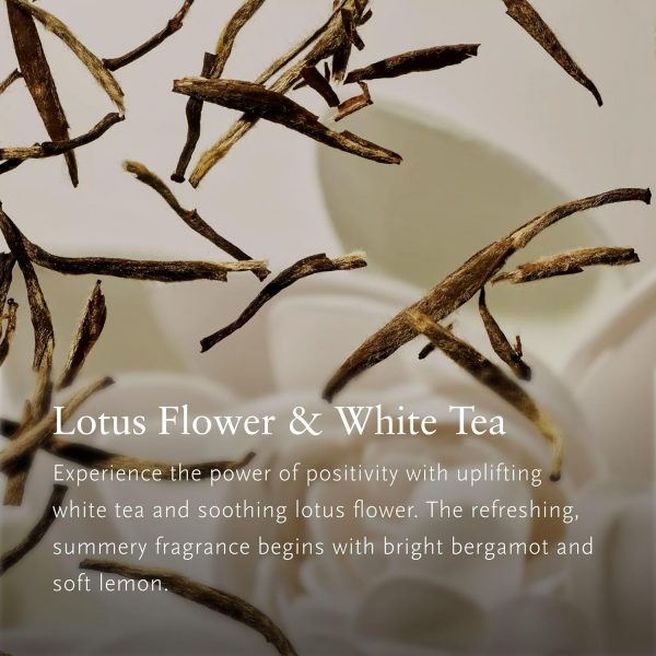 RITUALS Parfüm Karma Auto Lufterfrischer – Duft mit Lotus und weißem Tee – Bild 3
